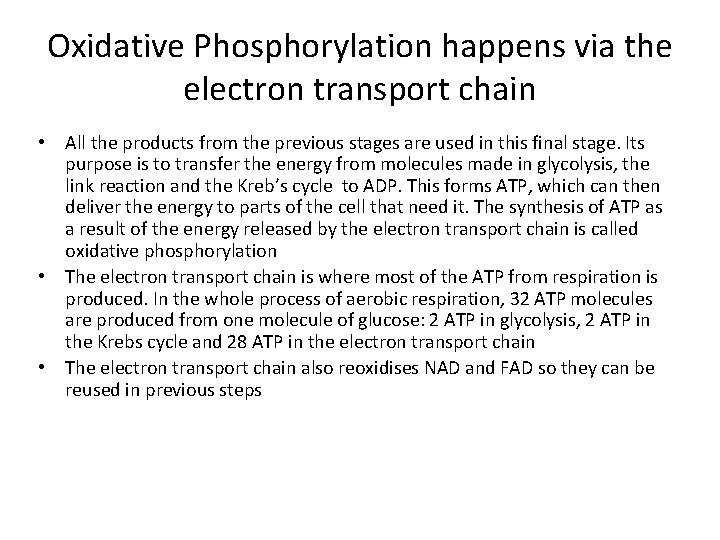 Oxidative Phosphorylation happens via the electron transport chain • All the products from the