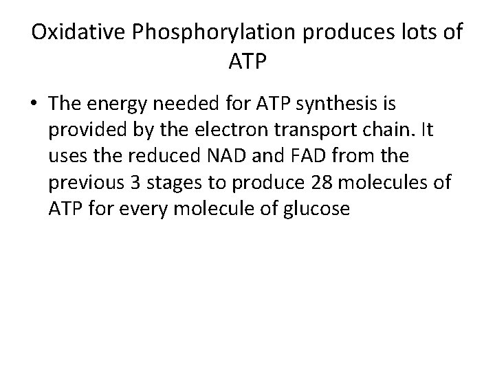 Oxidative Phosphorylation produces lots of ATP • The energy needed for ATP synthesis is