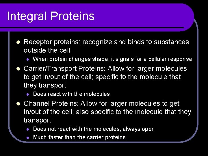 Integral Proteins l Receptor proteins: recognize and binds to substances outside the cell l