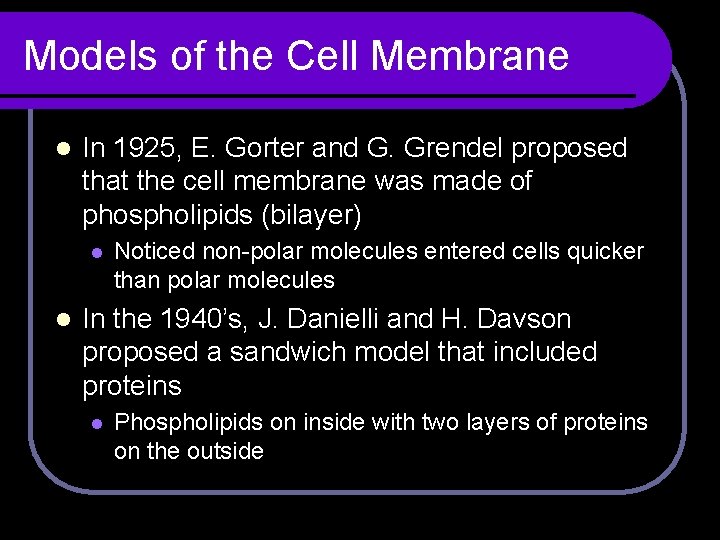 Models of the Cell Membrane l In 1925, E. Gorter and G. Grendel proposed