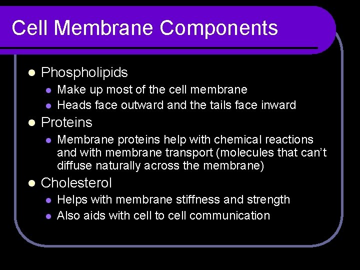 Cell Membrane Components l Phospholipids l l l Proteins l l Make up most