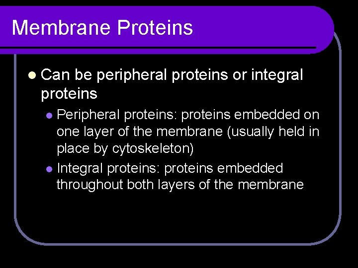 Membrane Proteins l Can be peripheral proteins or integral proteins Peripheral proteins: proteins embedded