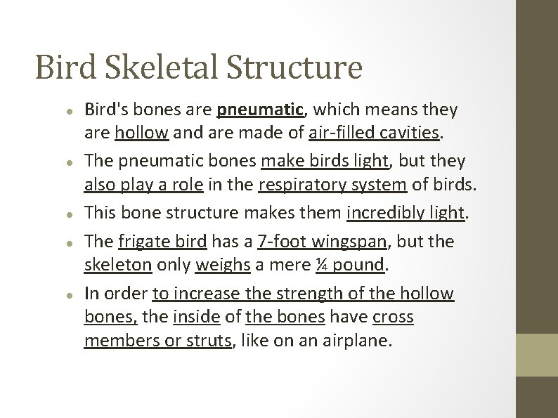 Bird Skeletal Structure Bird's bones are pneumatic, which means they are hollow and are