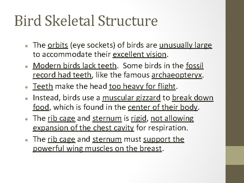 Bird Skeletal Structure The orbits (eye sockets) of birds are unusually large to accommodate