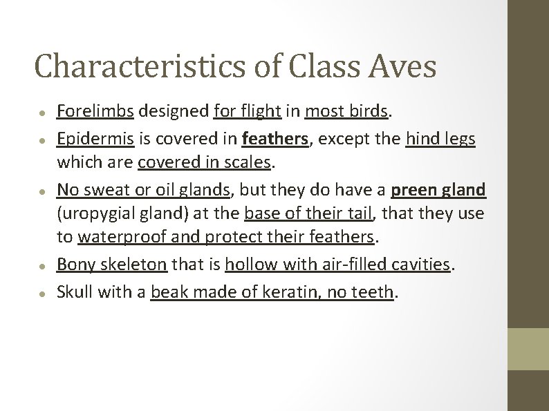 Characteristics of Class Aves Forelimbs designed for flight in most birds. Epidermis is covered