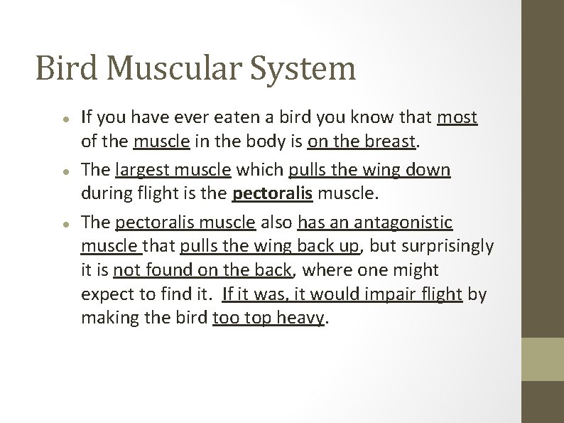 Bird Muscular System If you have ever eaten a bird you know that most