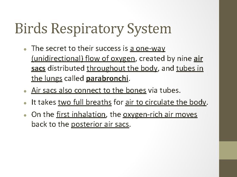 Birds Respiratory System The secret to their success is a one-way (unidirectional) flow of