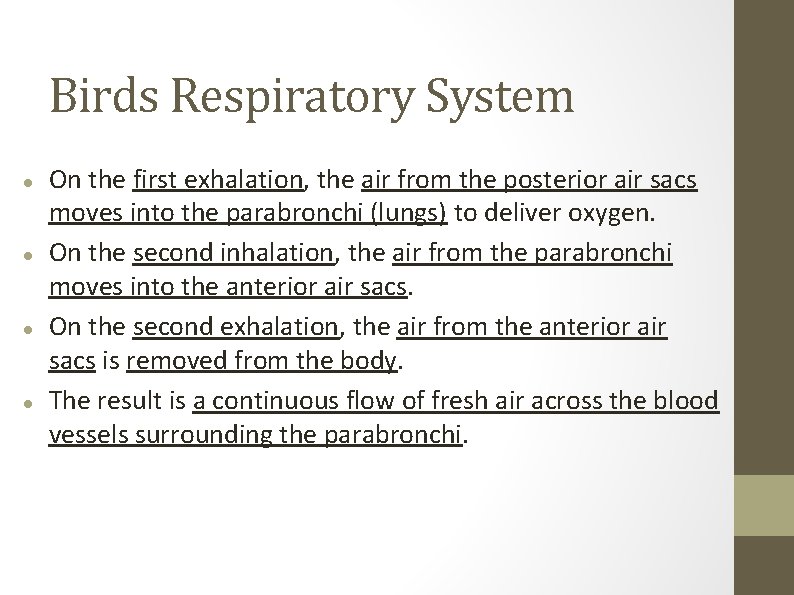 Birds Respiratory System On the first exhalation, the air from the posterior air sacs