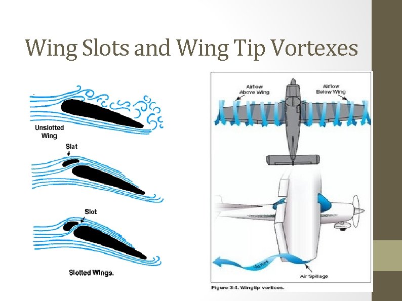 Wing Slots and Wing Tip Vortexes 
