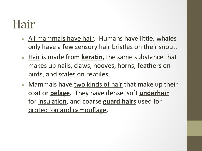 Hair All mammals have hair. Humans have little, whales only have a few sensory