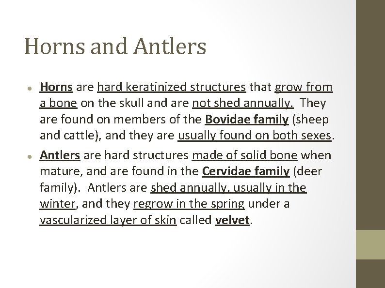 Horns and Antlers Horns are hard keratinized structures that grow from a bone on