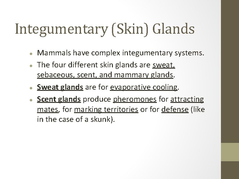 Integumentary (Skin) Glands Mammals have complex integumentary systems. The four different skin glands are