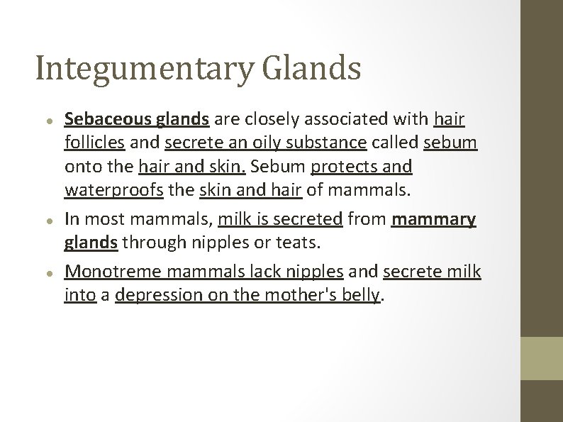 Integumentary Glands Sebaceous glands are closely associated with hair follicles and secrete an oily