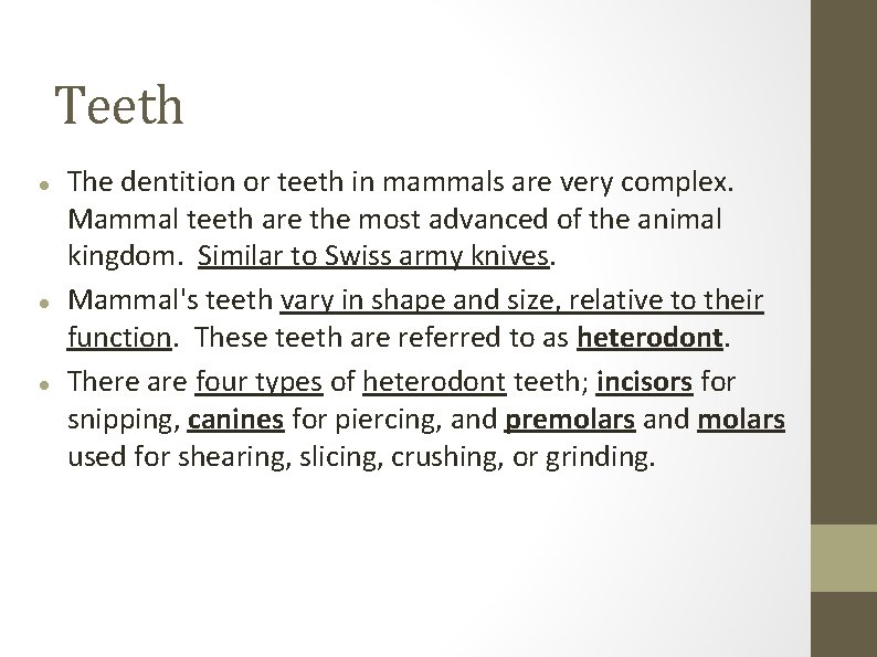 Teeth The dentition or teeth in mammals are very complex. Mammal teeth are the