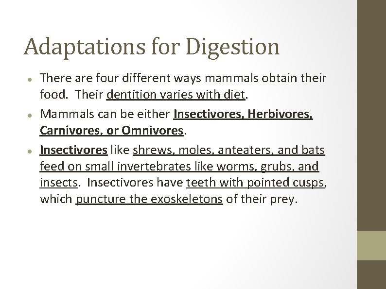 Adaptations for Digestion There are four different ways mammals obtain their food. Their dentition