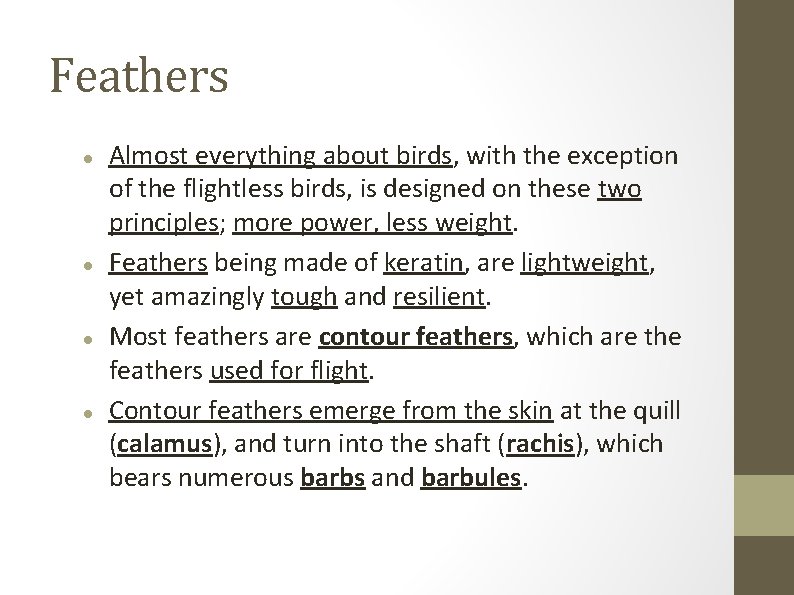 Feathers Almost everything about birds, with the exception of the flightless birds, is designed