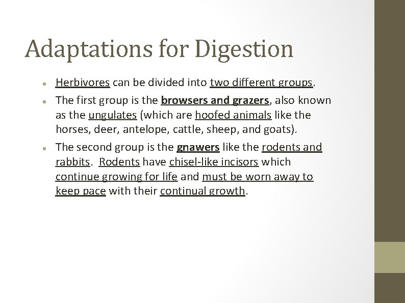 Adaptations for Digestion Herbivores can be divided into two different groups. The first group