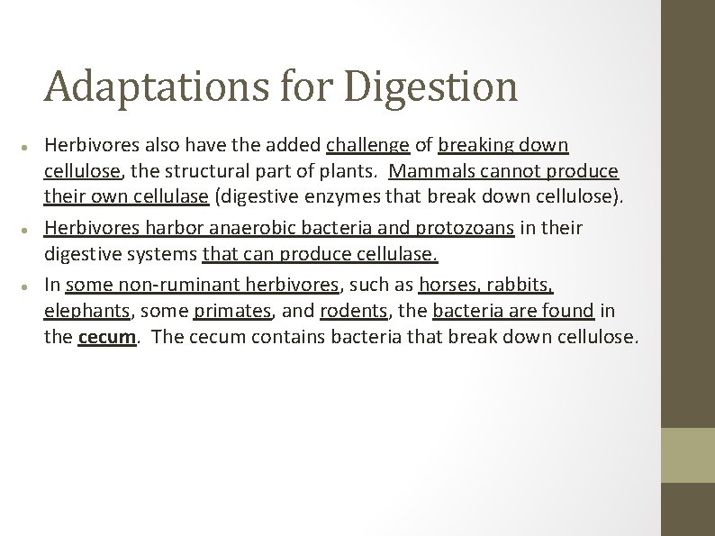 Adaptations for Digestion Herbivores also have the added challenge of breaking down cellulose, the