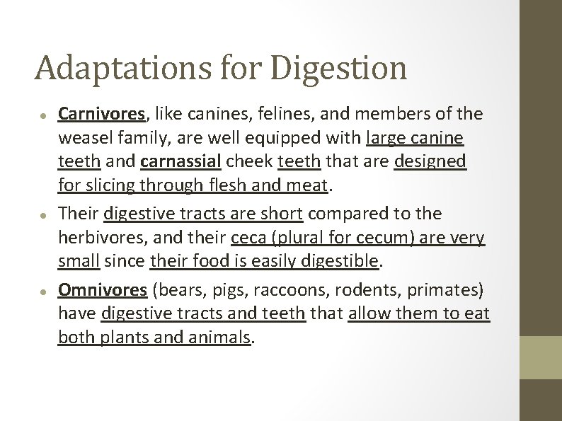 Adaptations for Digestion Carnivores, like canines, felines, and members of the weasel family, are