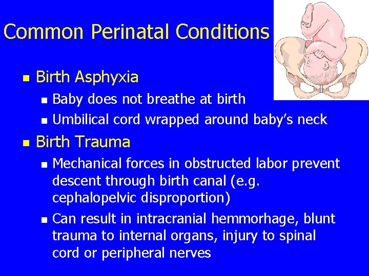 Common Perinatal Conditions n Birth Asphyxia n n n Baby does not breathe at