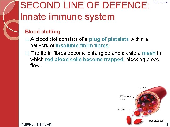 SECOND LINE OF DEFENCE: Innate immune system U. 2 – U. 4 Blood clotting