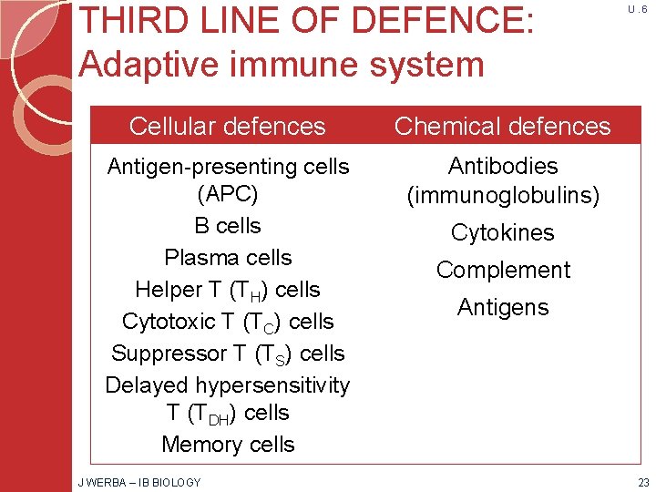 THIRD LINE OF DEFENCE: Adaptive immune system Cellular defences Chemical defences Antigen-presenting cells (APC)