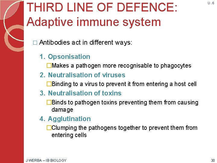 THIRD LINE OF DEFENCE: Adaptive immune system � Antibodies U. 6 act in different