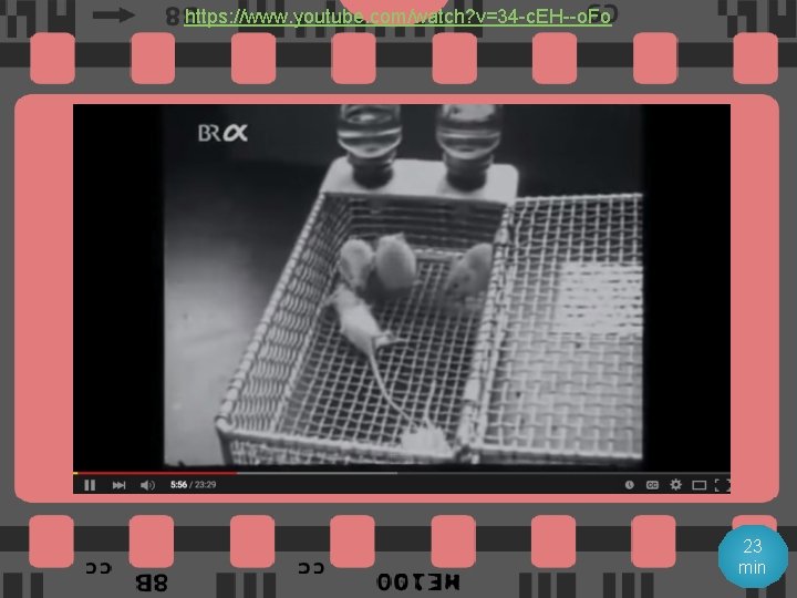 https: //www. youtube. com/watch? v=34 -c. EH--o. Fo 23 min 