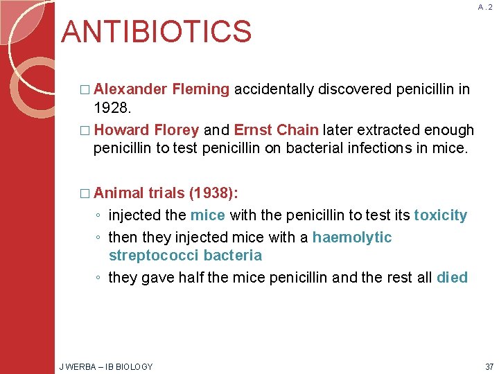A. 2 ANTIBIOTICS � Alexander Fleming accidentally discovered penicillin in 1928. � Howard Florey