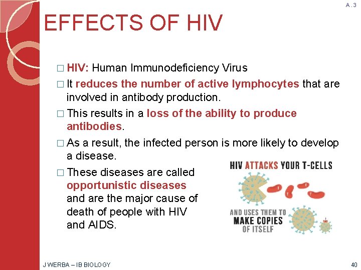 A. 3 EFFECTS OF HIV � HIV: Human Immunodeficiency Virus � It reduces the