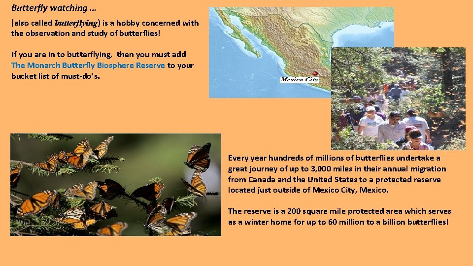 Butterfly watching … (also called butterflying) is a hobby concerned with the observation and