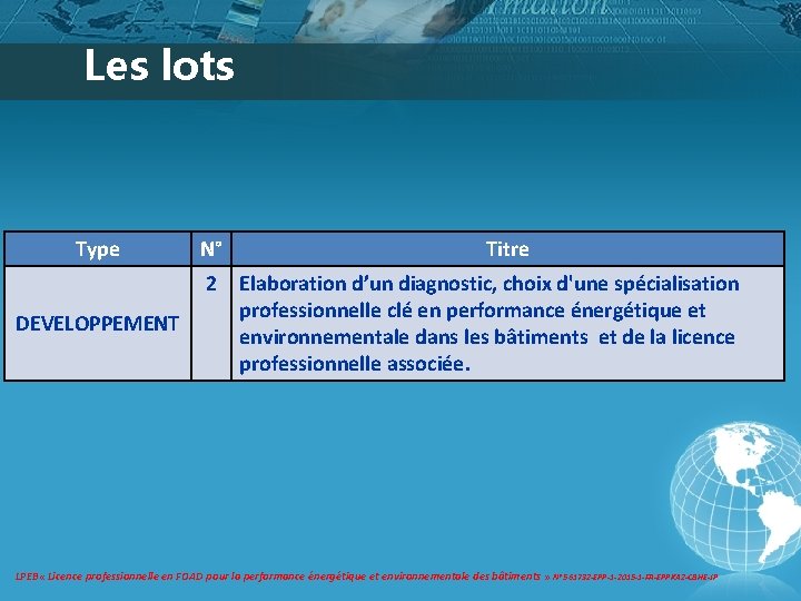 Les lots Type N° 2 DEVELOPPEMENT Titre Elaboration d’un diagnostic, choix d'une spécialisation professionnelle Les lots Type N° 2 DEVELOPPEMENT Titre Elaboration d’un diagnostic, choix d'une spécialisation professionnelle