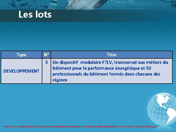 Les lots Type DEVELOPPEMENT N° Titre 3 Un dispositif modulaire FTLV, transversal aux métiers Les lots Type DEVELOPPEMENT N° Titre 3 Un dispositif modulaire FTLV, transversal aux métiers