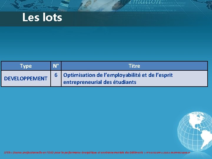 Les lots Type DEVELOPPEMENT N° 6 Titre Optimisation de l’employabilité et de l’esprit entrepreneurial Les lots Type DEVELOPPEMENT N° 6 Titre Optimisation de l’employabilité et de l’esprit entrepreneurial