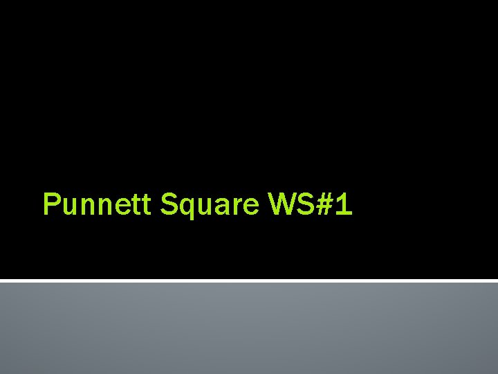 Punnett Square WS#1 