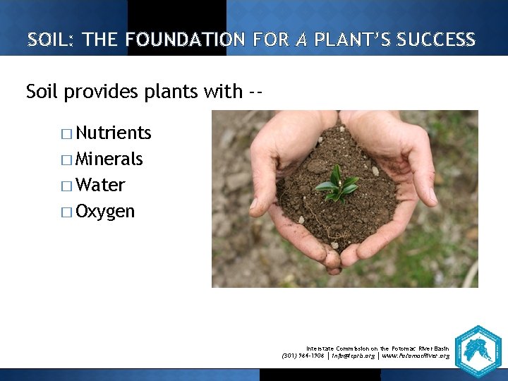 SOIL: THE FOUNDATION FOR A PLANT’S SUCCESS Soil provides plants with -� Nutrients �