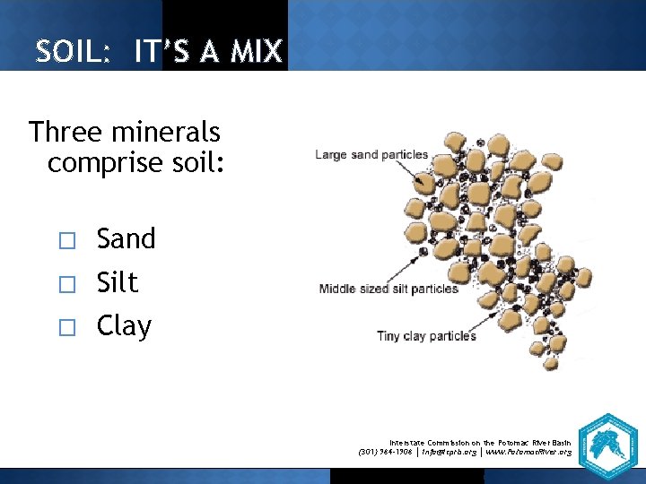 SOIL: IT’S A MIX Three minerals comprise soil: � Sand � Silt � Clay