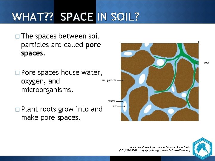 WHAT? ? SPACE IN SOIL? � The spaces between soil particles are called pore