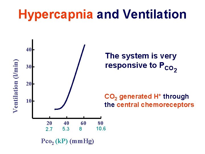 Hypercapnia and Ventilation (l/min) 40 The system is very responsive to PCO 30 2