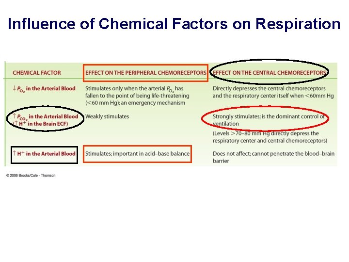 Influence of Chemical Factors on Respiration 