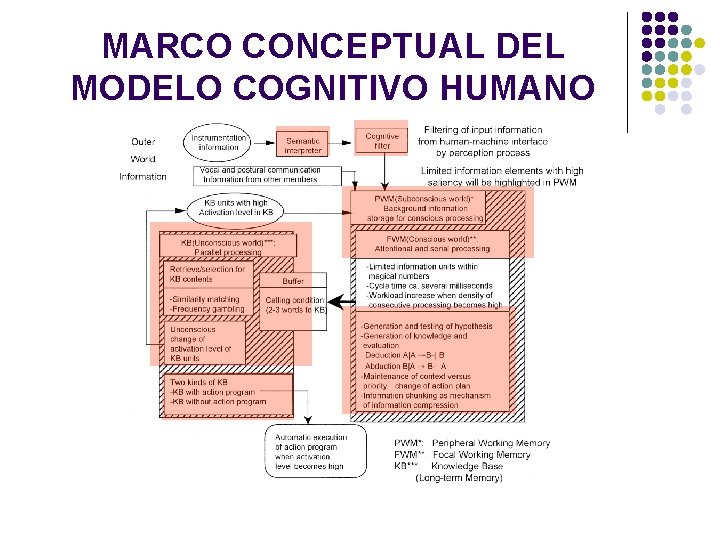 MARCO CONCEPTUAL DEL MODELO COGNITIVO HUMANO 