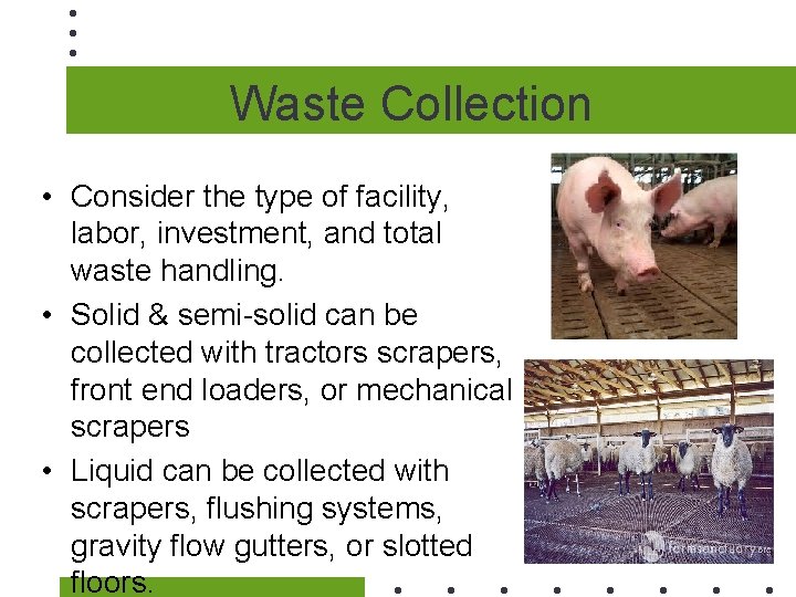 Waste Collection • Consider the type of facility, labor, investment, and total waste handling.