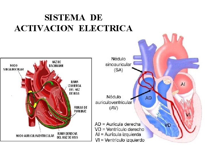 SISTEMA DE ACTIVACION ELECTRICA 