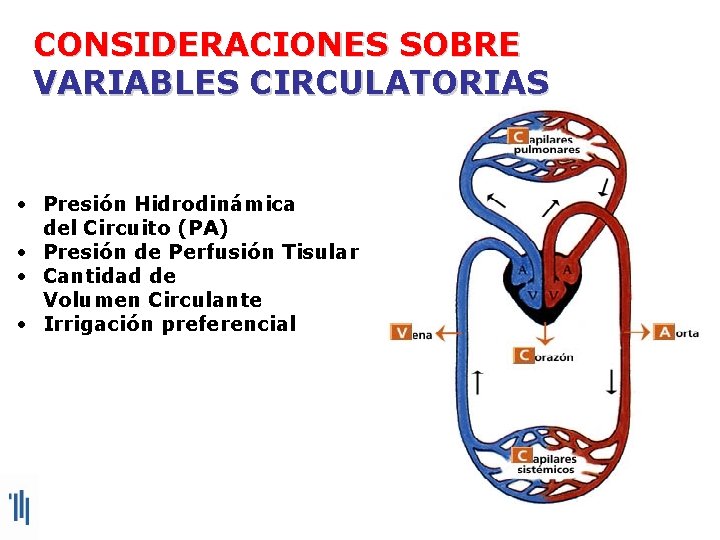 CONSIDERACIONES SOBRE VARIABLES CIRCULATORIAS • Presión Hidrodinámica del Circuito (PA) • Presión de Perfusión