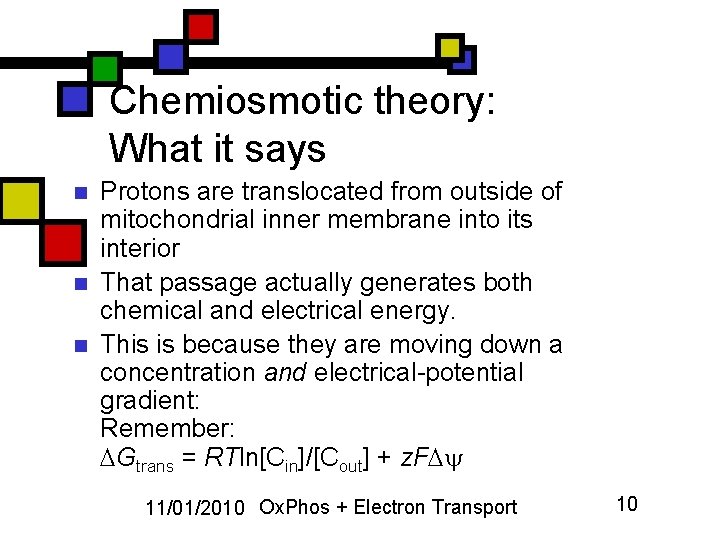 Chemiosmotic theory: What it says n n n Protons are translocated from outside of