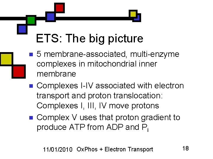 ETS: The big picture n n n 5 membrane-associated, multi-enzyme complexes in mitochondrial inner