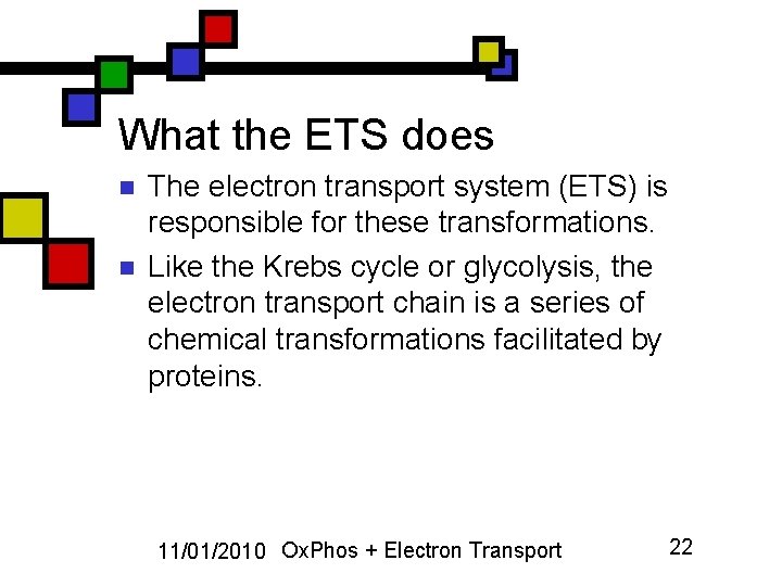 What the ETS does n n The electron transport system (ETS) is responsible for