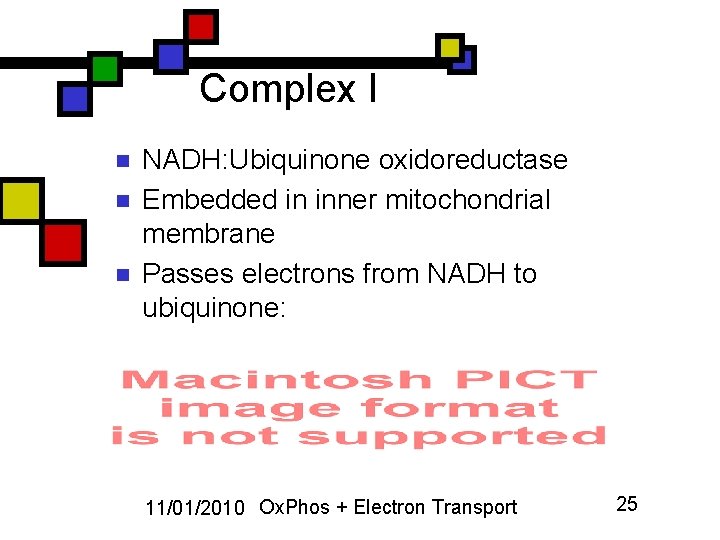 Complex I n n n NADH: Ubiquinone oxidoreductase Embedded in inner mitochondrial membrane Passes