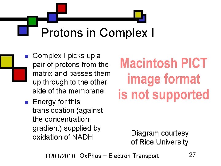 Protons in Complex I n n Complex I picks up a pair of protons