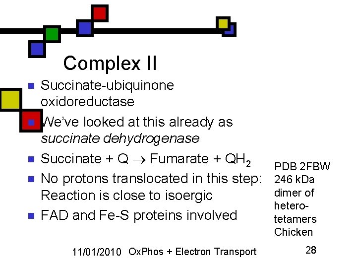 Complex II n n n Succinate-ubiquinone oxidoreductase We’ve looked at this already as succinate